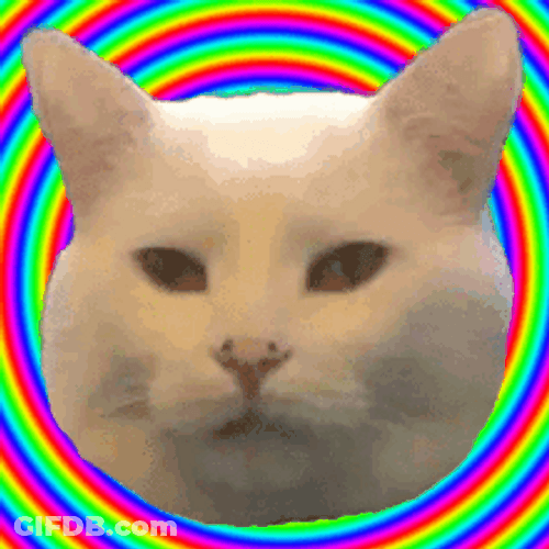Cat Smudge Rainbow Spiral Hypnosis Poker Face GIF