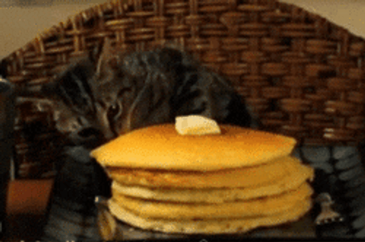 Cat Sneaking Breakfast Pancake GIF