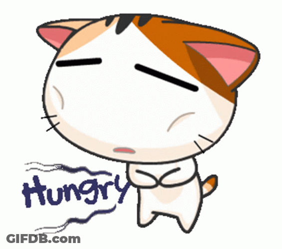 Cat So Hungry Tummy Aching GIF