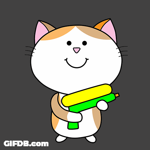Cat Songkran GIF
