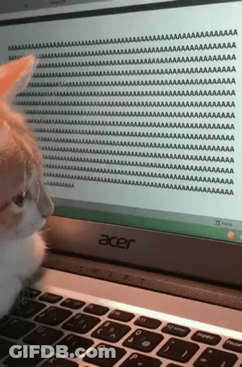 Cat Spamming Letter A On Computer GIF