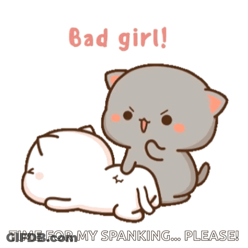 Cat Spanking Another Cat Bad Girl Time For My Spanking Please GIF