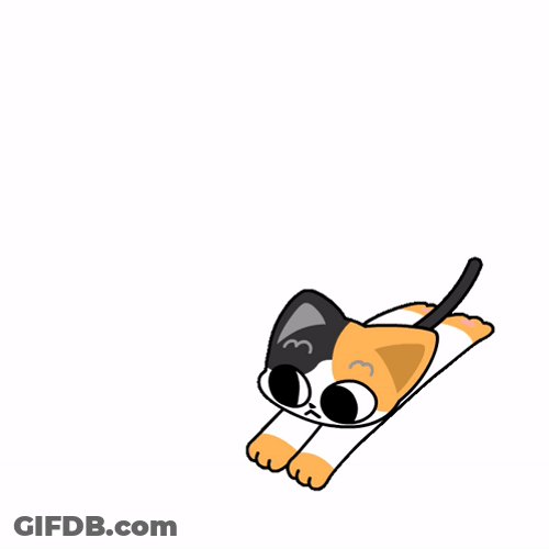 Cat Spinning Around Animation GIF