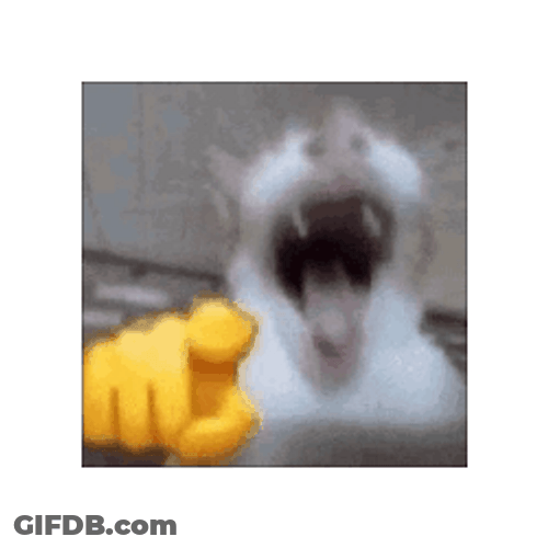 Cat Spinning In A Cube GIF