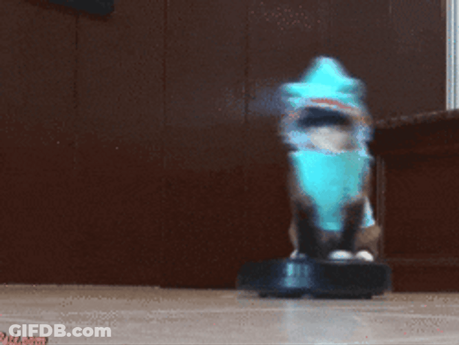Cat Spinning In A Dolphin Costume GIF