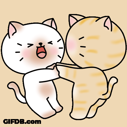Cat Spinning In Love GIF