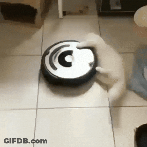 Cat Spinning On The Sides Of Vacuum GIF