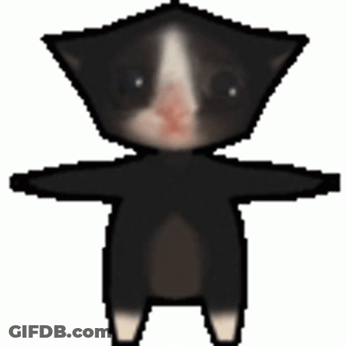 Cat Spinning Standing Hands Spread GIF