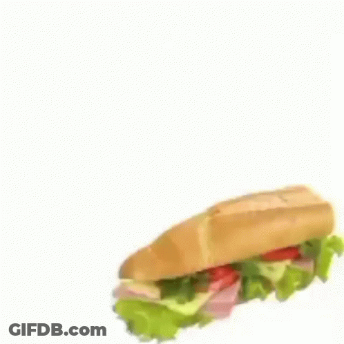 Cat Standing Holding Sub Sandwich GIF
