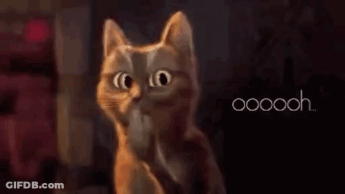 Cat Standing In Dark Room With Mouth Open GIF