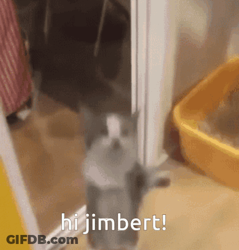 Cat Standing In Doorway Says Hi Jimbert GIF