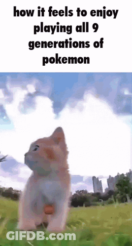 Cat Standing In Field Saying How It Feels To Enjoy Playing All 9 Generations Of Pokemon GIF