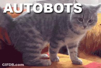Cat Standing In Front Of Autobots Sign GIF