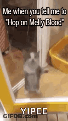 Cat Standing In Front Of Door Saying Me When Told To Hop GIF