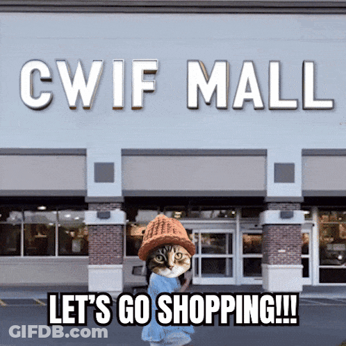 Cat Standing In Front Of Mall GIF