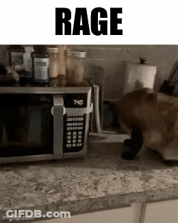 Cat Standing In Front Of Microwave Saying Rage GIF