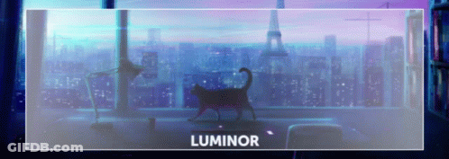 Cat Standing In Front Of Window With Luminor GIF