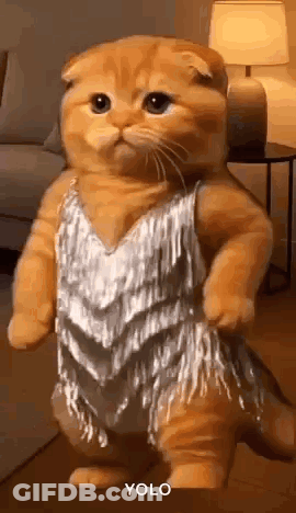 Cat Standing In Silver Dress GIF