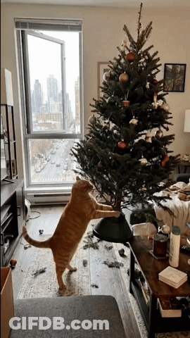 Cat Standing Near Christmas Tree GIF