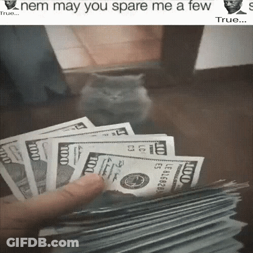 Cat Standing Next To Pile Of Money Saying Nem May You Spare Me A Few GIF