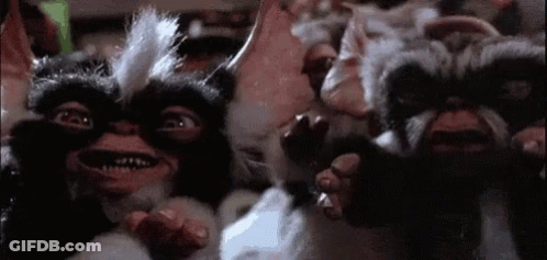 Cat Standing Next To Wooden Door GIF