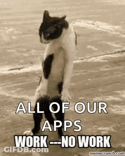Cat Standing On Beach All Of Our Apps Work No Work GIF