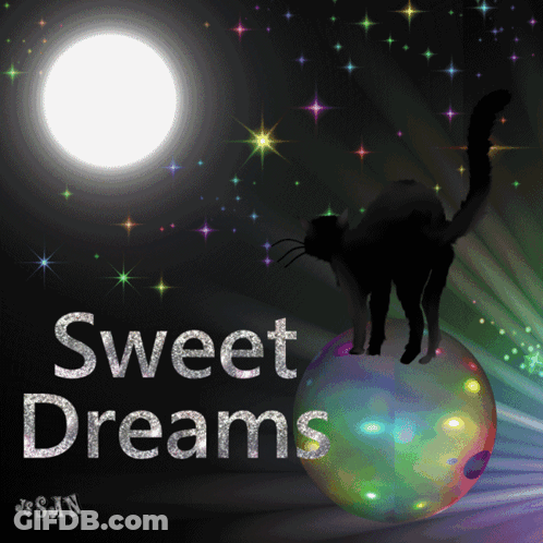 Cat Standing On Colorful Ball Sweet Dreams GIF