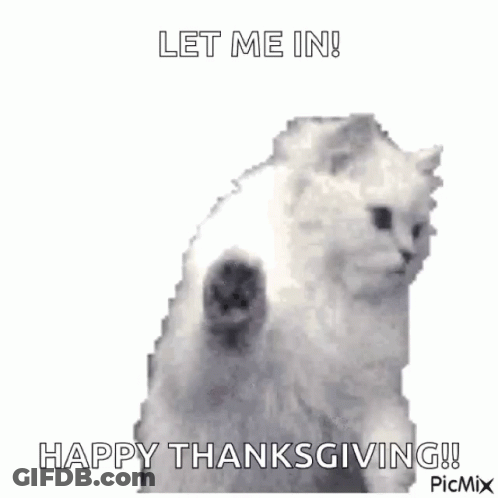 Cat Standing On Hind Legs Saying Let Me In Happy Thanksgiving GIF