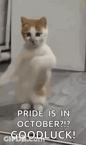 Cat Standing On Hind Legs Saying Pride Is In October GIF
