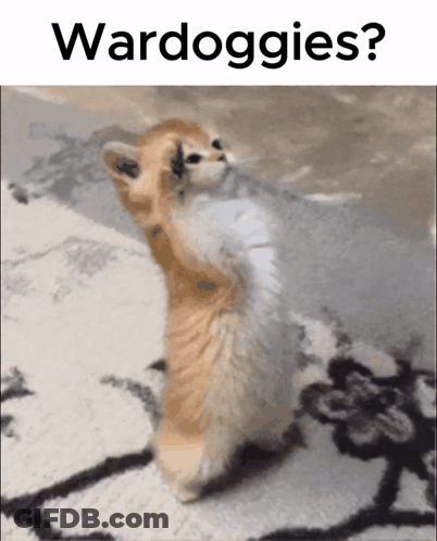 Cat Standing On Hind Legs Saying Wardoggies GIF