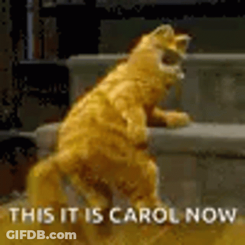 Cat Standing On Hind Legs With This It Is Carol Now GIF