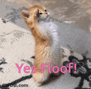 Cat Standing On Hind Legs Yes Floof GIF