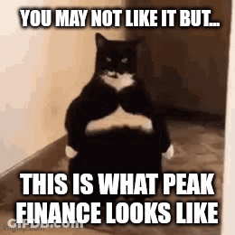 Cat Standing On Hind Legs You May Not Like It But GIF