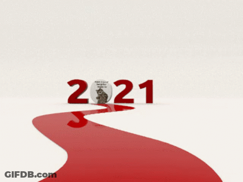 Cat Standing On Red Path In Front Of 2021 GIF