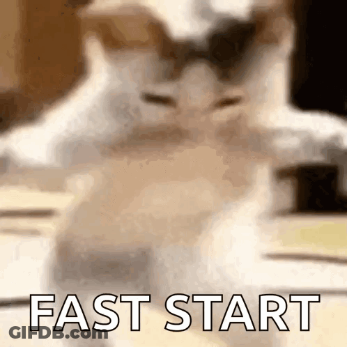 Cat Standing On Table Saying Fast Start GIF