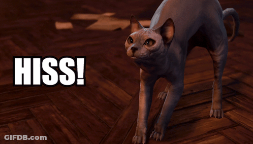 Cat Standing Saying I Say Hiss GIF