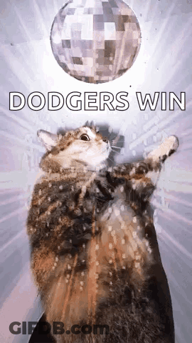 Cat Standing Under Disco Ball Dodgers Win GIF