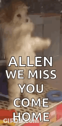 Cat Standing With Allen We Miss You GIF
