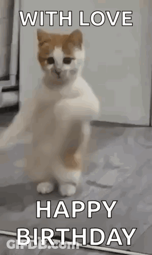 Cat Standing With Happy Birthday GIF