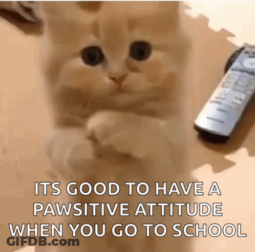 Cat Standing With Remote Saying It's Good To Have A Pawsitive Attitude GIF