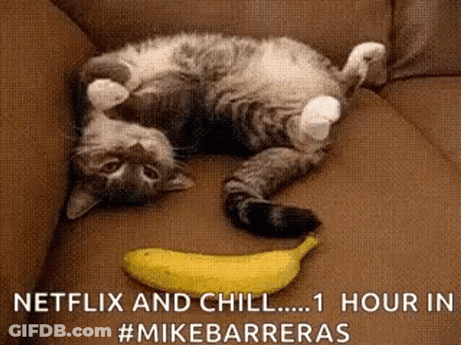 Cat Startled By A Banana Meme GIF