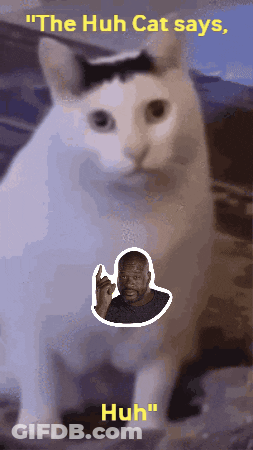 Cat Sticker Saying The Huh GIF