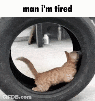 Cat Sticking Head Out Of Tire Man I'm Tired GIF