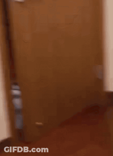 Cat Sticking Head Out Of Wooden Door GIF