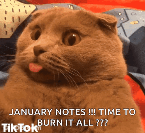 Cat Sticking Tongue Out January Notes Time To Burn It All GIF