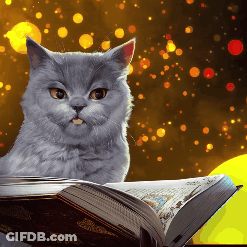 Cat Sticking Tongue Out On Book GIF