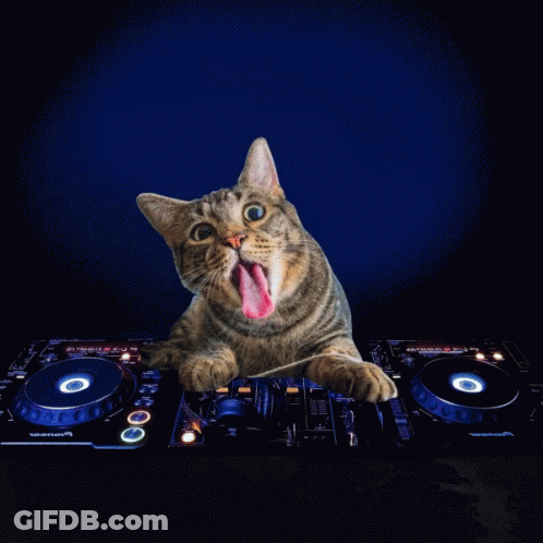 Cat Sticking Tongue Out On Pioneer DJ Mixer GIF