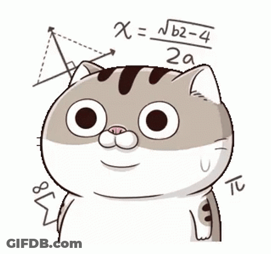 Cat Stressing On Math GIF