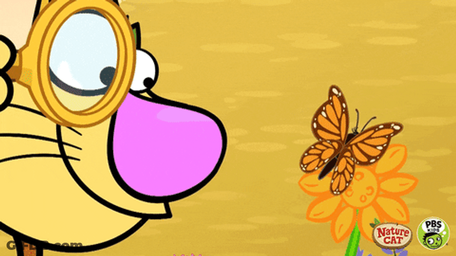 Cat Summer Chasing Butterflies GIF