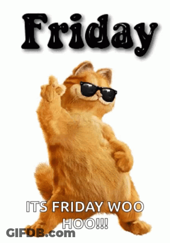 Cat Sunglasses Middle Finger It's Friday Woo Hoo GIF